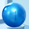 Blue PVC Exercise Ball 65.0cm