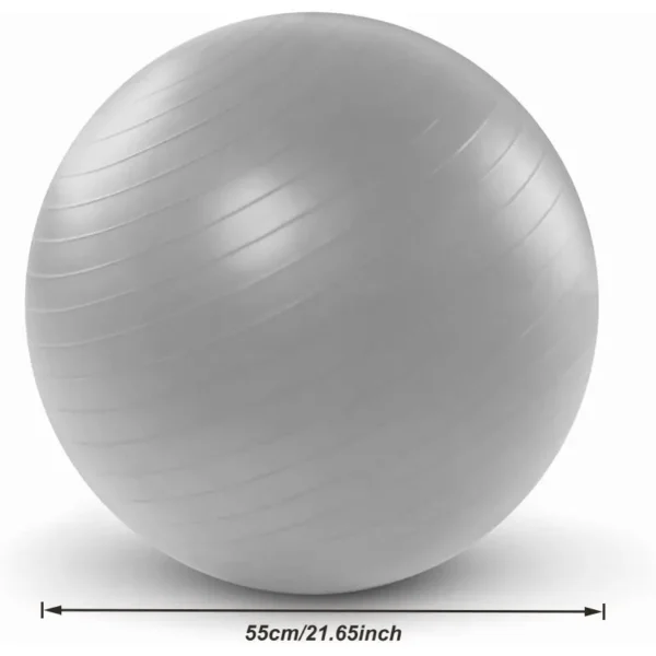 9f1d4500b318417bbd16bb29c5409d1f-goods Gray Yoga Balance Ball with Air Pump